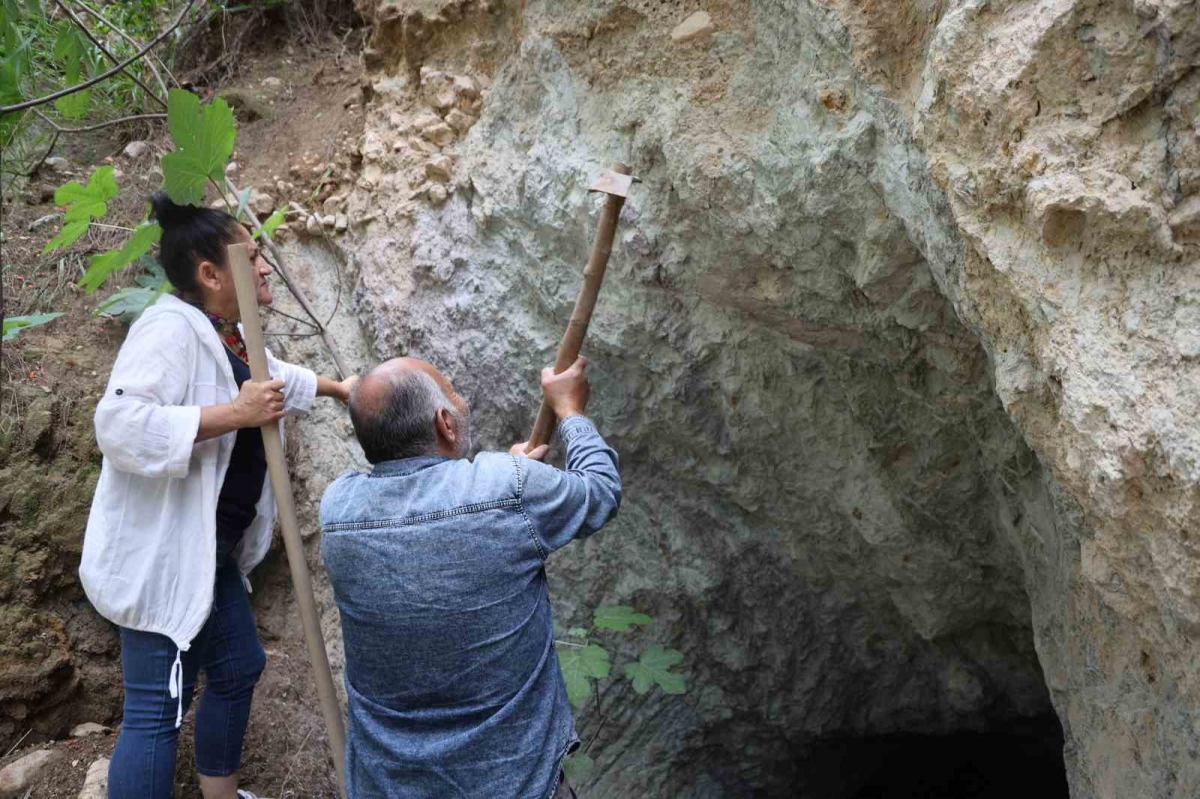 Asırlık cerecilik geleneği bilimsel çalışmalarla geleceğe taşınıyor
