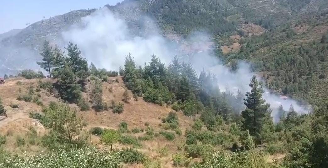 Adana’da orman yangını
