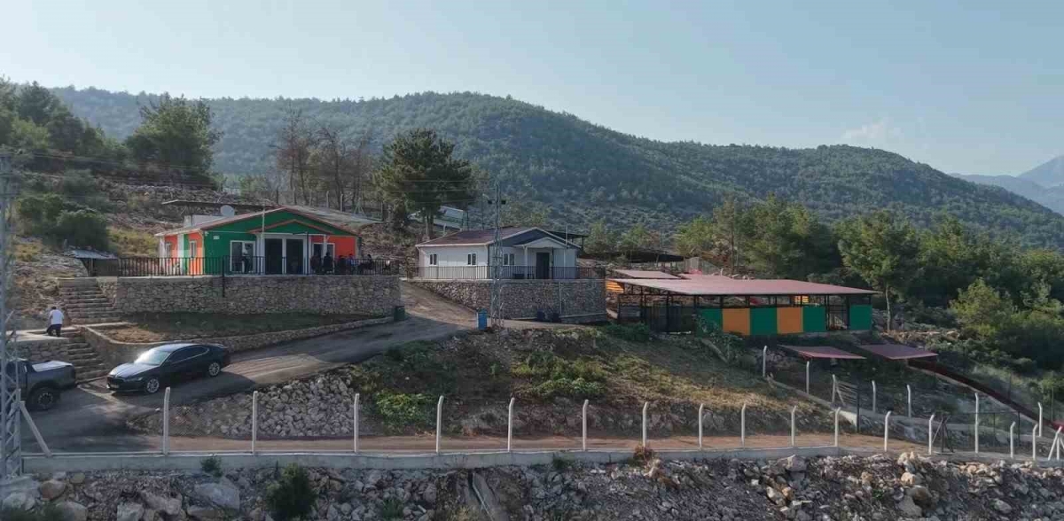 Kozan’da hedef sıfır sahipsiz sokak hayvanı
