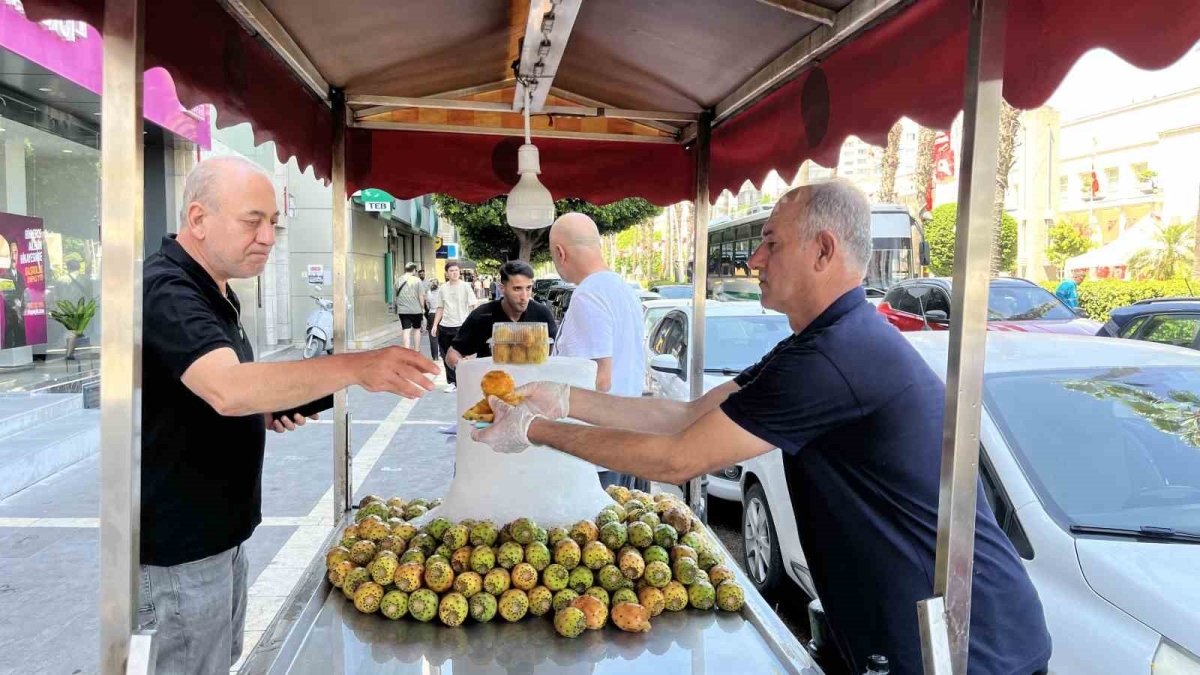 Sıcaklarla birlikte dikenli incir satışları arttı
