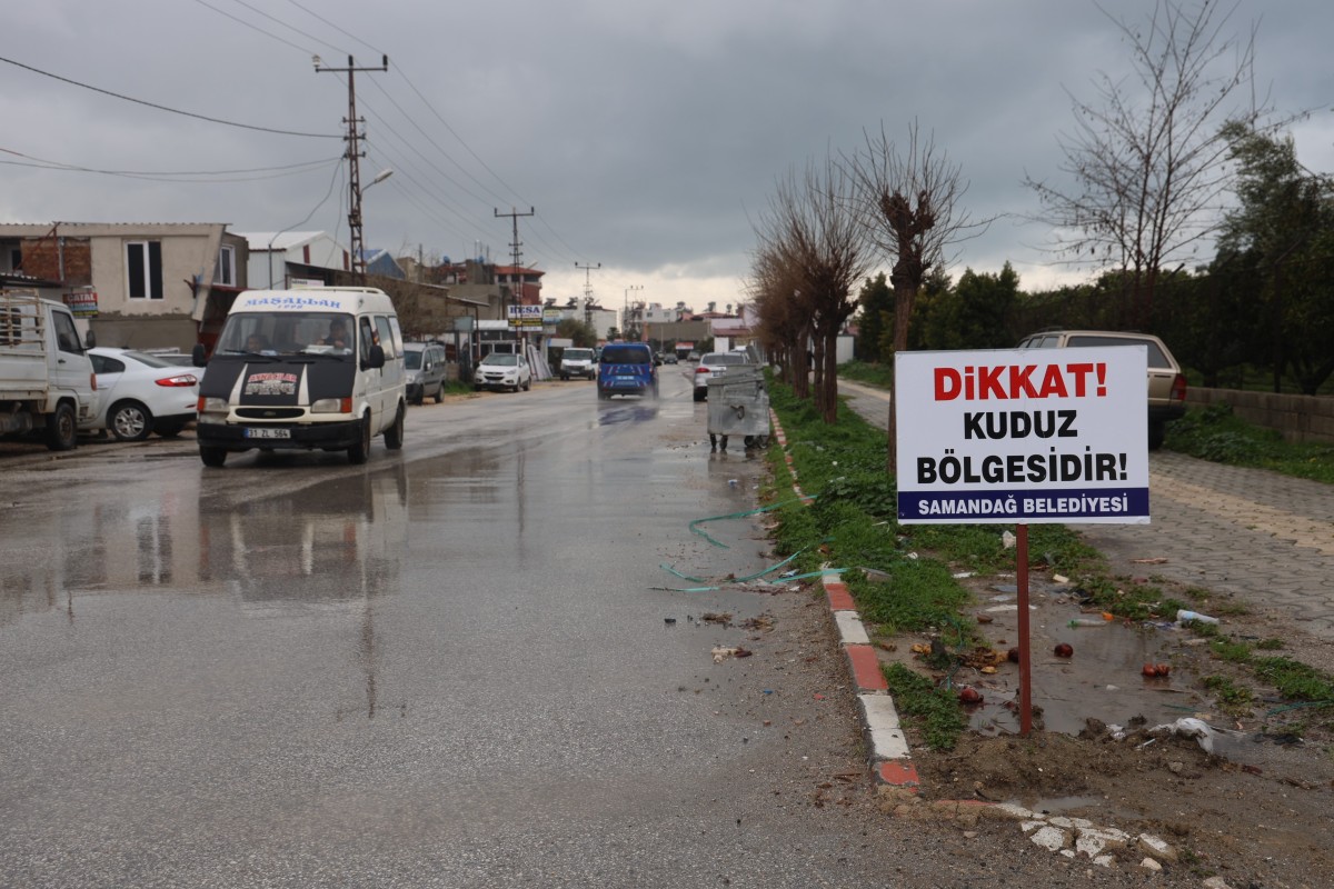 Hatay’da 4 mahalleye kuduz karantinası
