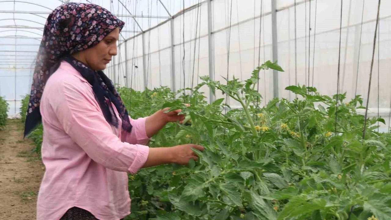 Kadınlar devlet desteğiyle üretti, köy turizm ve tarımda ilçede öncü oldu

