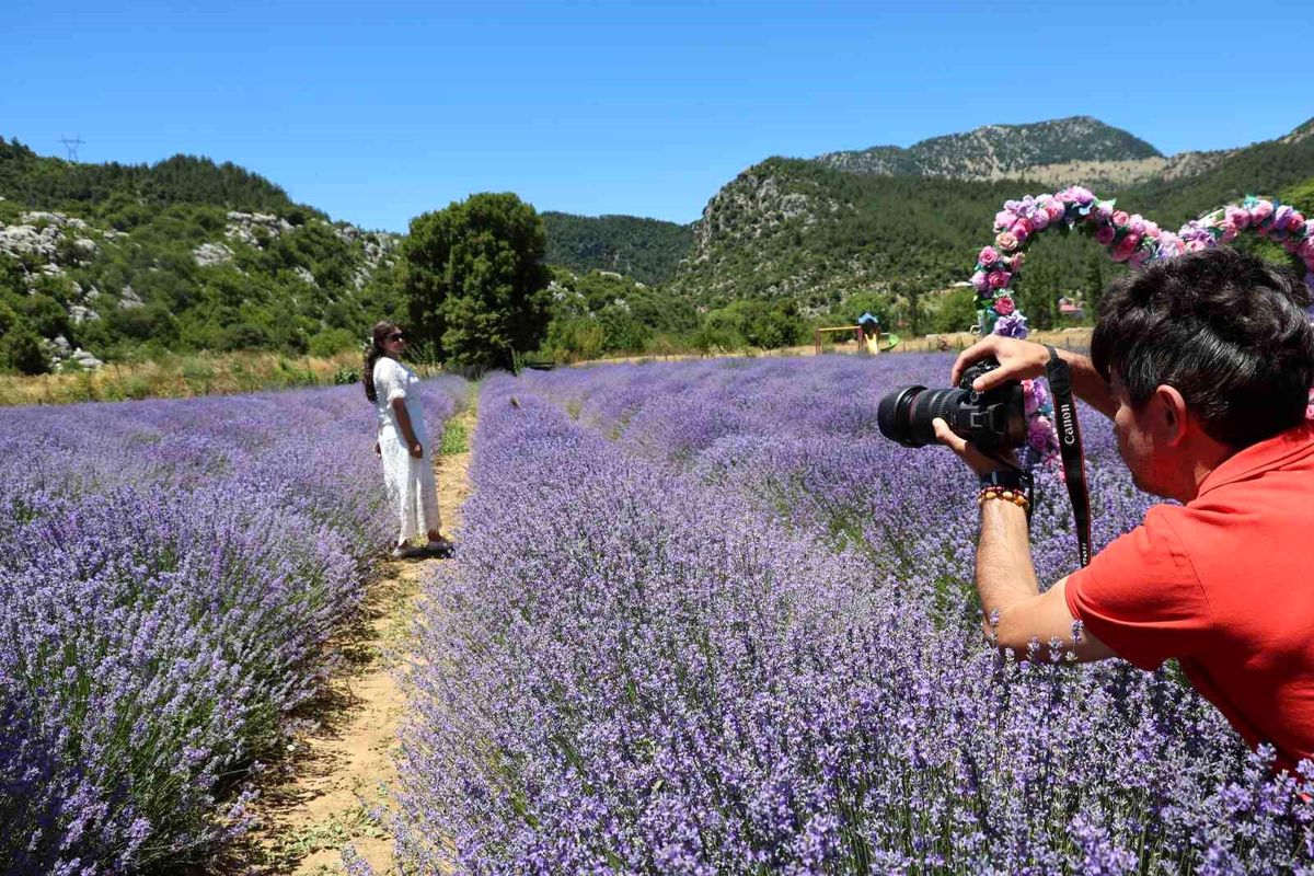Adana sıcağından kaçanlar lavanta bahçelerine akın etti
