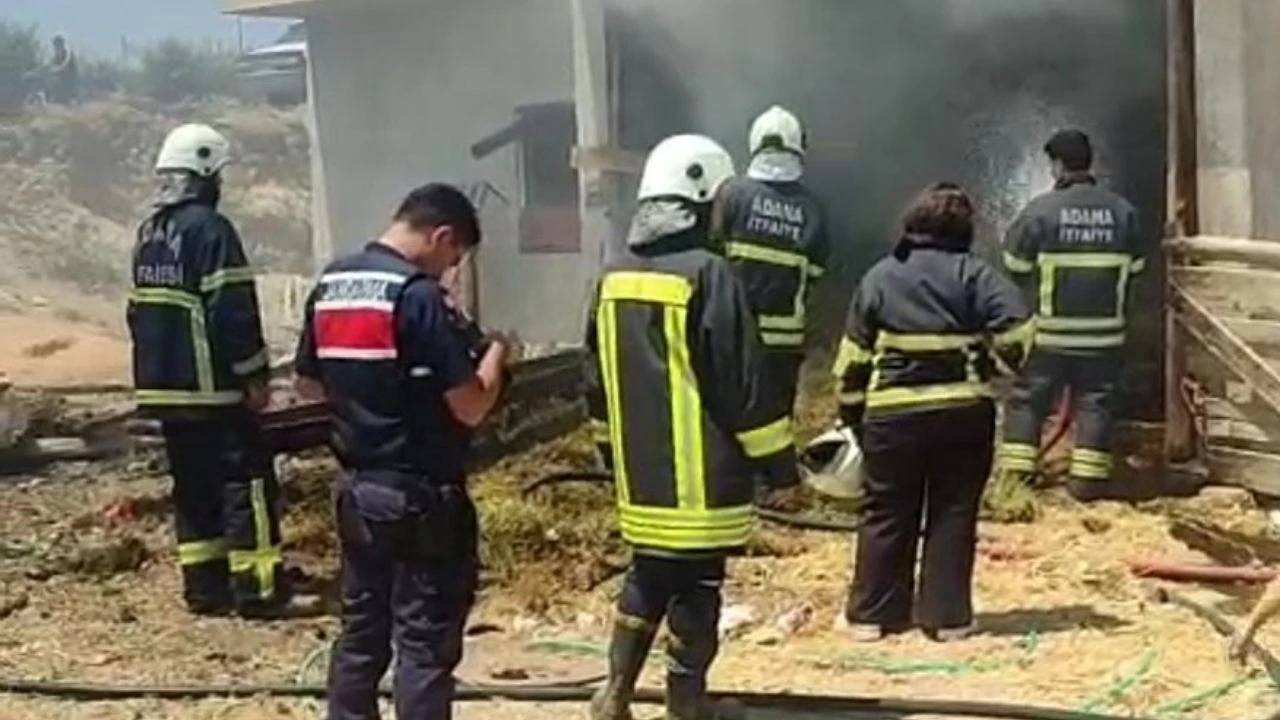 Saman balyaları alevlere teslim oldu
