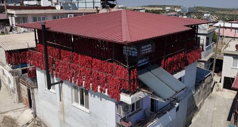 Kavurucu sıcakta tek tek ipe dizilen dolmalık acı biberler, mahalledeki balkonları kırmızıya bürüdü
