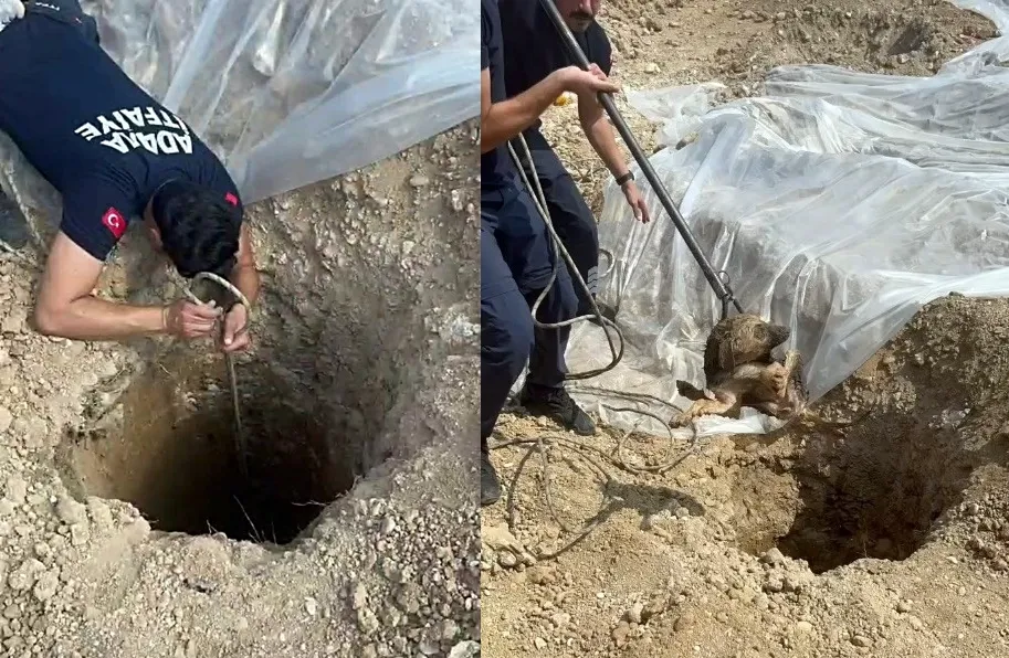 Şantiyedeki kuyuya düşen köpeği itfaiye kurtardı