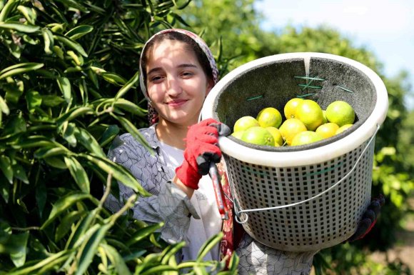 Karadeniz’de gemi trafiği durdu, Adana’da limon ve mandalina dalında kaldı
